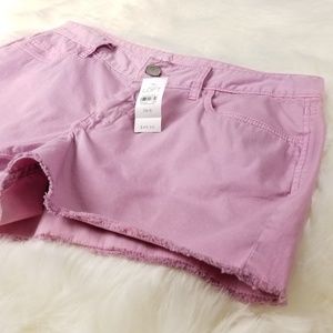 _NWT LOFT Pretty Shorts